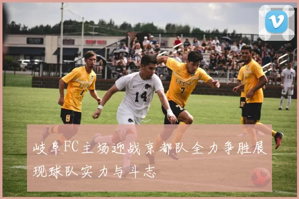 岐阜FC主场迎战京都队全力争胜展现球队实力与斗志