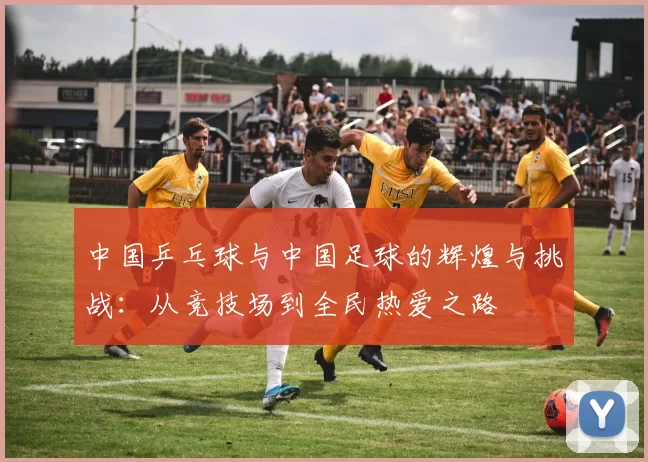 中国乒乓球与中国足球的辉煌与挑战：从竞技场到全民热爱之路